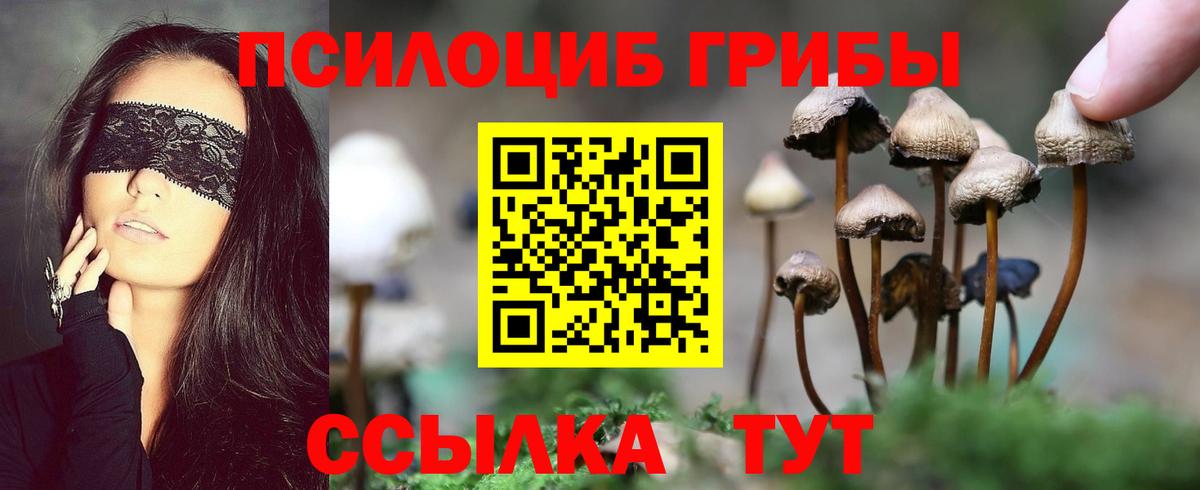 Котельники  Псилоцибиновые грибы Psilocybe  Вход с VPN 